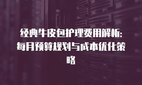 经典牛皮包护理费用解析：每月预算规划与成本优化策略