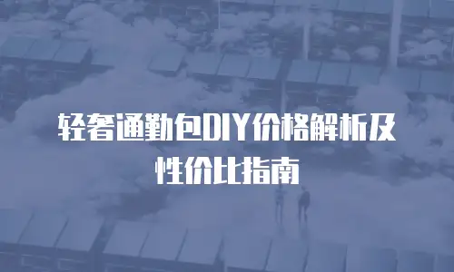 轻奢通勤包DIY价格解析及性价比指南