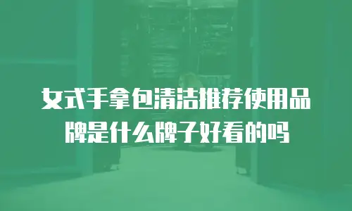 女式手拿包清洁推荐使用品牌是什么牌子好看的吗