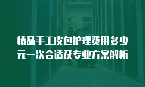 精品手工皮包护理费用多少元一次合适及专业方案解析