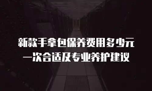 新款手拿包保养费用多少元一次合适及专业养护建议