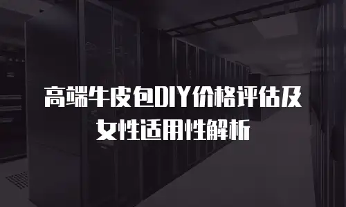 高端牛皮包DIY价格评估及女性适用性解析