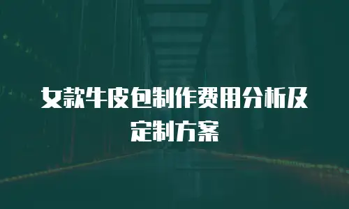 女款牛皮包制作费用分析及定制方案