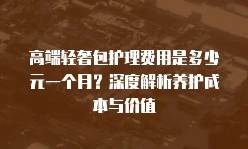 高端轻奢包护理费用是多少元一个月？深度解析养护成本与价值