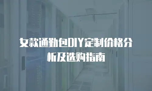 女款通勤包DIY定制价格分析及选购指南
