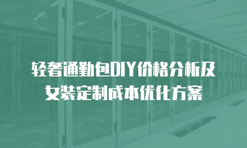 轻奢通勤包DIY价格分析及女装定制成本优化方案