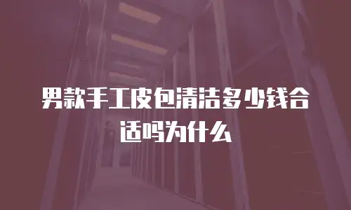 男款手工皮包清洁多少钱合适吗为什么