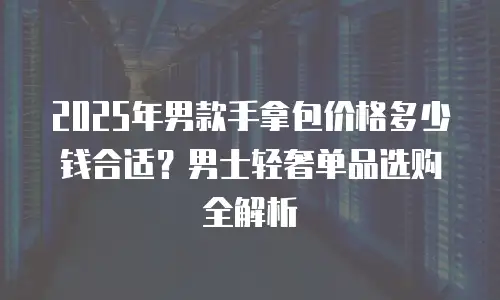 2025年男款手拿包价格多少钱合适？男士轻奢单品选购全解析