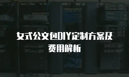 女式公文包DIY定制方案及费用解析