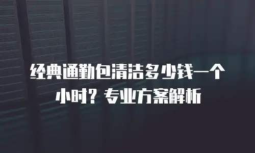 经典通勤包清洁多少钱一个小时？专业方案解析