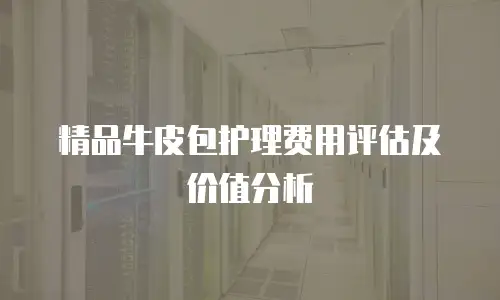 精品牛皮包护理费用评估及价值分析