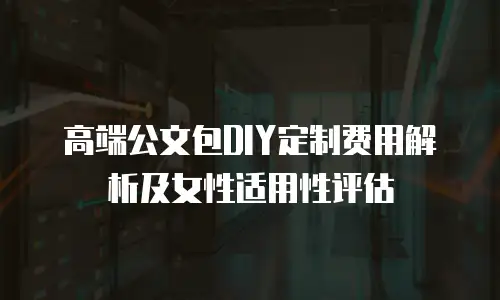 高端公文包DIY定制费用解析及女性适用性评估