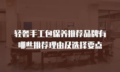 轻奢手工包保养推荐品牌有哪些推荐理由及选择要点