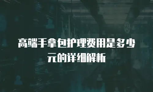 高端手拿包护理费用是多少元的详细解析