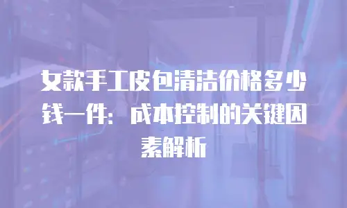 女款手工皮包清洁价格多少钱一件：成本控制的关键因素解析