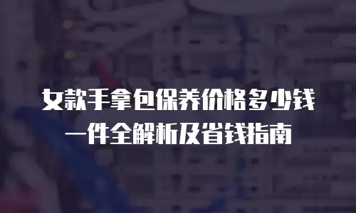 女款手拿包保养价格多少钱一件全解析及省钱指南