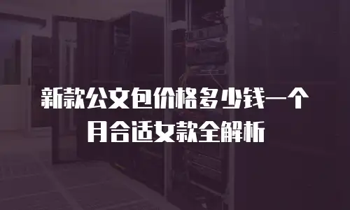 新款公文包价格多少钱一个月合适女款全解析