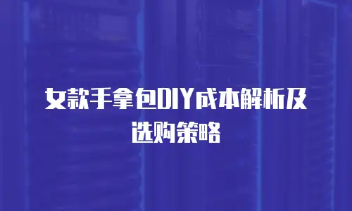 女款手拿包DIY成本解析及选购策略