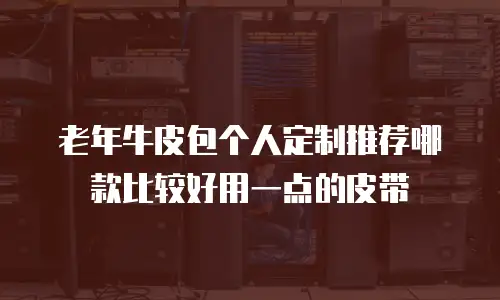 老年牛皮包个人定制推荐哪款比较好用一点的皮带