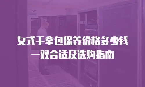 女式手拿包保养价格多少钱一双合适及选购指南