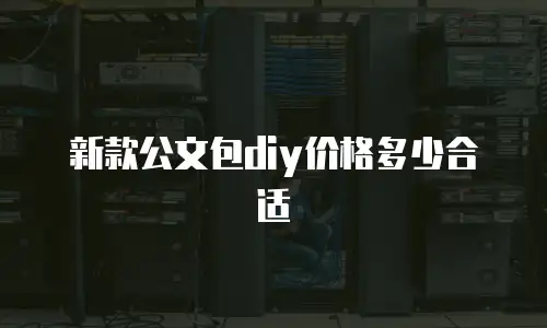 新款公文包diy价格多少合适