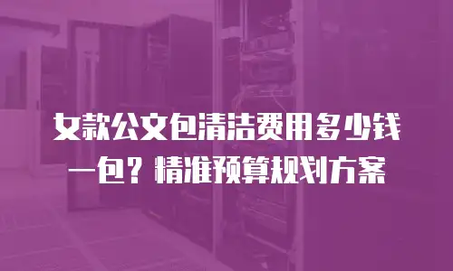 女款公文包清洁费用多少钱一包？精准预算规划方案
