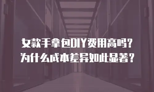 女款手拿包DIY费用高吗？为什么成本差异如此显著？