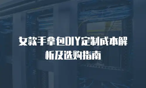 女款手拿包DIY定制成本解析及选购指南
