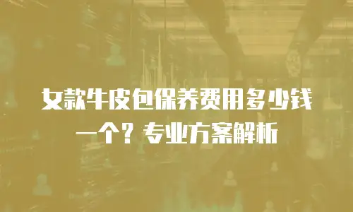 女款牛皮包保养费用多少钱一个？专业方案解析