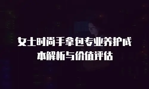 女士时尚手拿包专业养护成本解析与价值评估