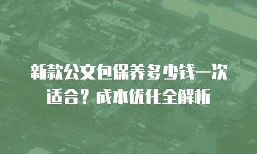 新款公文包保养多少钱一次适合？成本优化全解析