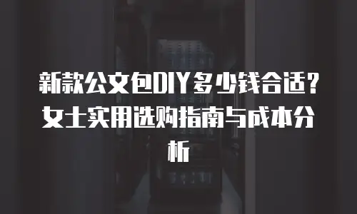 新款公文包DIY多少钱合适？女士实用选购指南与成本分析