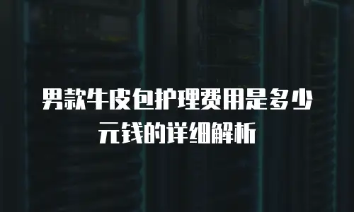 男款牛皮包护理费用是多少元钱的详细解析