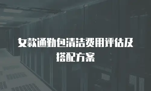 女款通勤包清洁费用评估及搭配方案