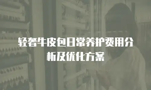 轻奢牛皮包日常养护费用分析及优化方案