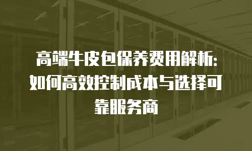 高端牛皮包保养费用解析：如何高效控制成本与选择可靠服务商