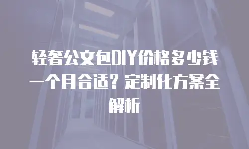 轻奢公文包DIY价格多少钱一个月合适？定制化方案全解析