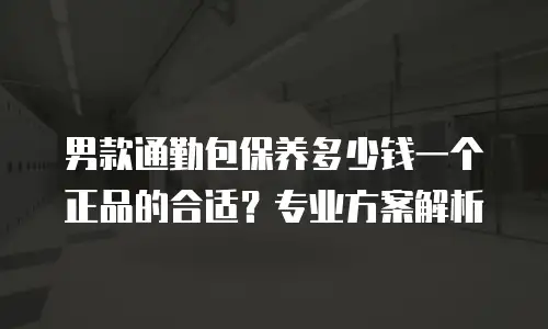 男款通勤包保养多少钱一个正品的合适？专业方案解析