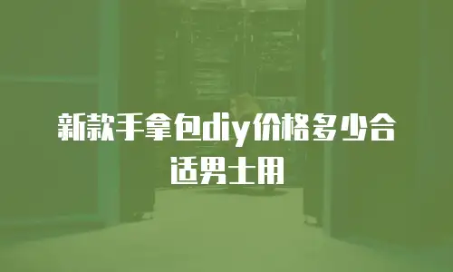 新款手拿包diy价格多少合适男士用