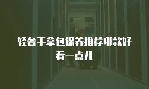 轻奢手拿包保养推荐哪款好看一点儿