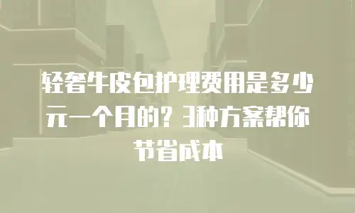 轻奢牛皮包护理费用是多少元一个月的？3种方案帮你节省成本