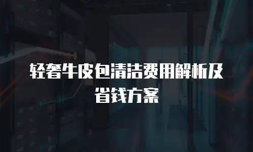轻奢牛皮包清洁费用解析及省钱方案