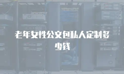 老年女性公文包私人定制多少钱