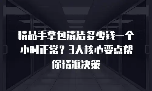 精品手拿包清洁多少钱一个小时正常？3大核心要点帮你精准决策