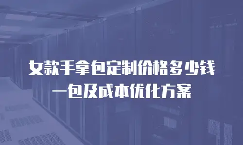 女款手拿包定制价格多少钱一包及成本优化方案
