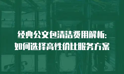 经典公文包清洁费用解析：如何选择高性价比服务方案