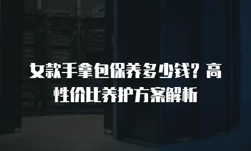 女款手拿包保养多少钱？高性价比养护方案解析