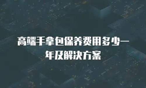 高端手拿包保养费用多少一年及解决方案