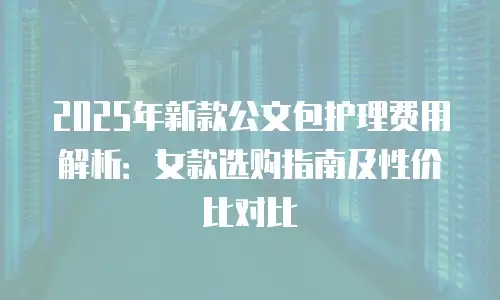 2025年新款公文包护理费用解析：女款选购指南及性价比对比
