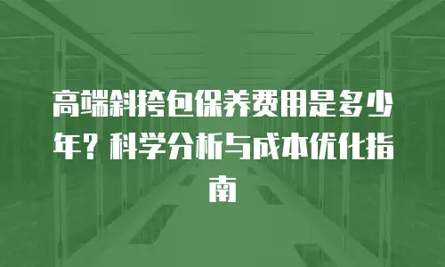 高端斜挎包保养费用是多少年？科学分析与成本优化指南